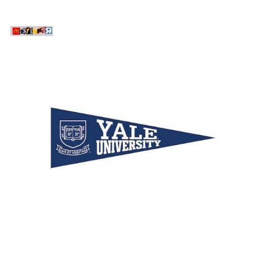 

sticker Yale University pennant logo stiker kampus Ivy League