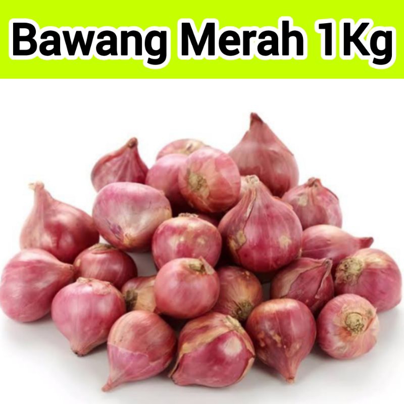 

Bawang Merah Segar 1kg Brambang Fresh