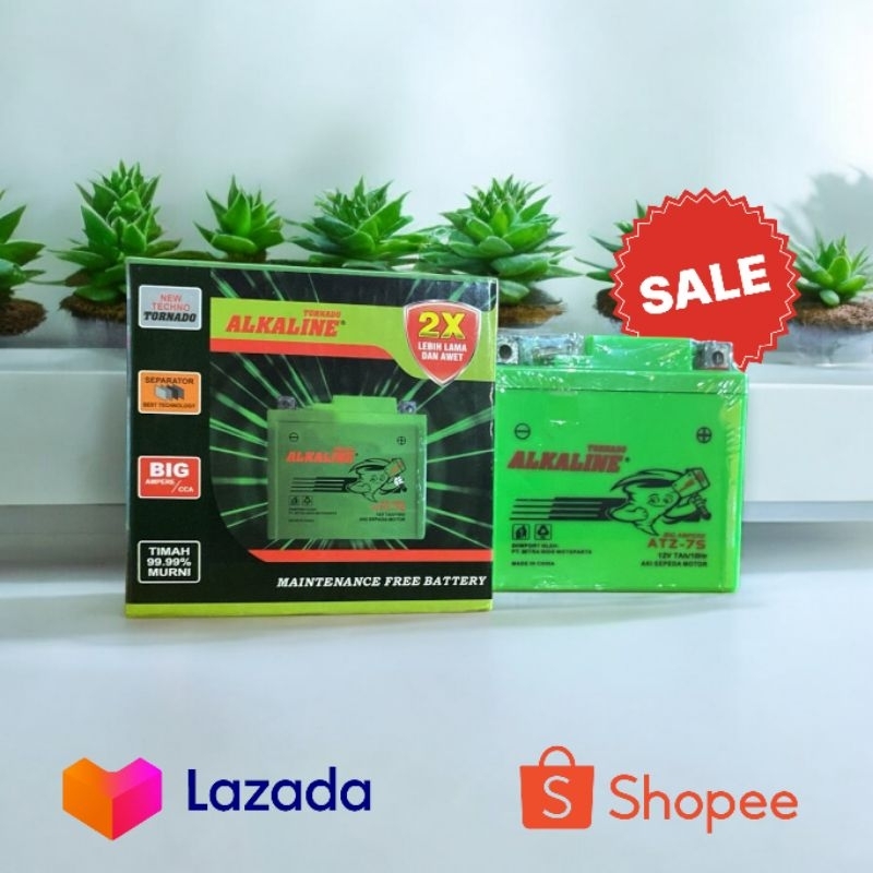 Alkaline aki kering motor type ATZ-5S untuk Universal motor