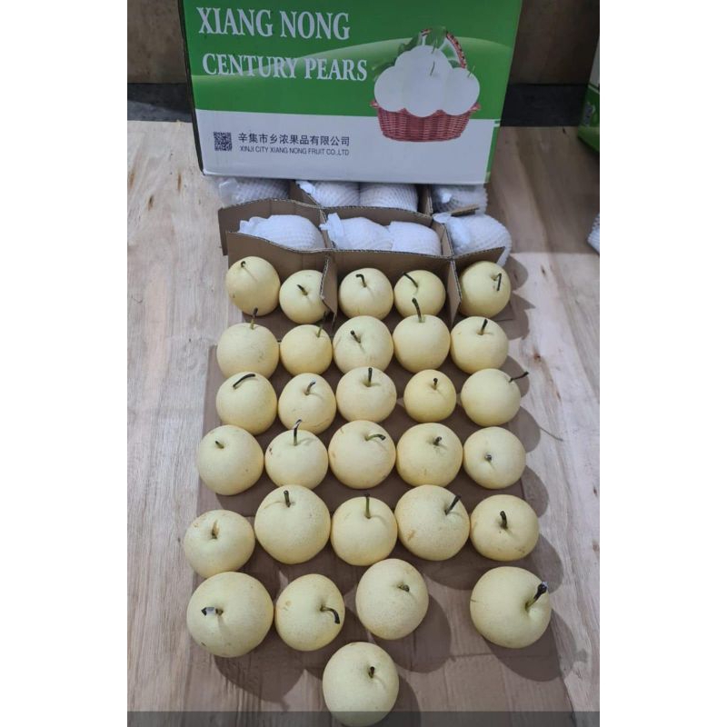 

pir century xiang nong