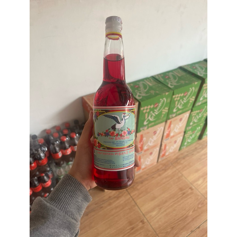 

1 DUS SIRUP BANGO ISI 12 EXP AMAN 2026