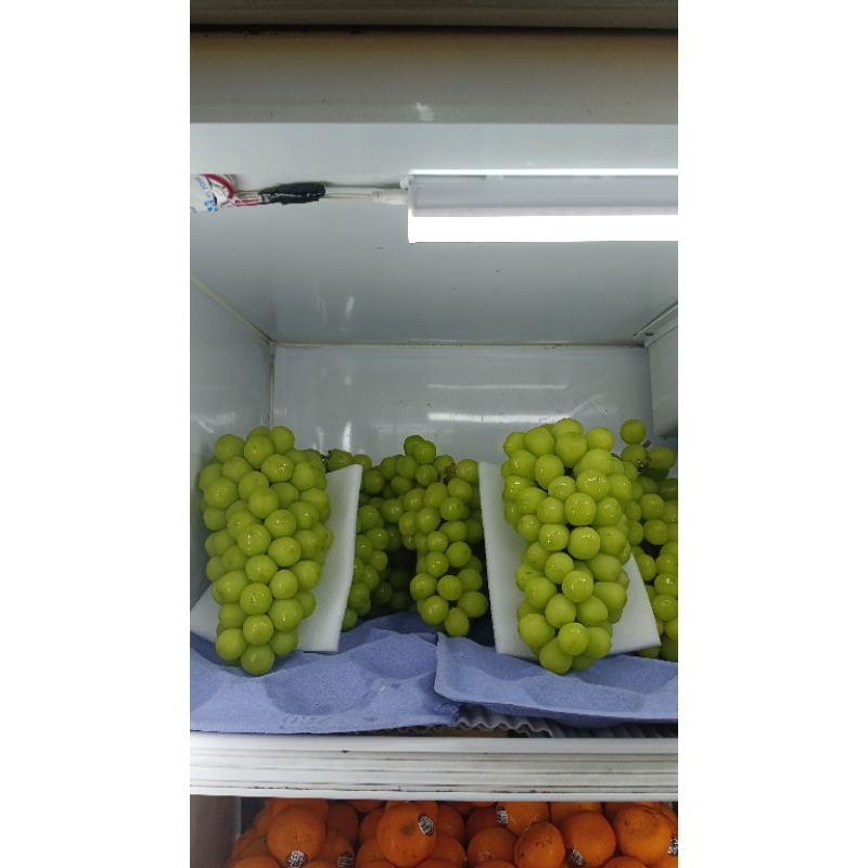 

anggur shine muscat Jepang