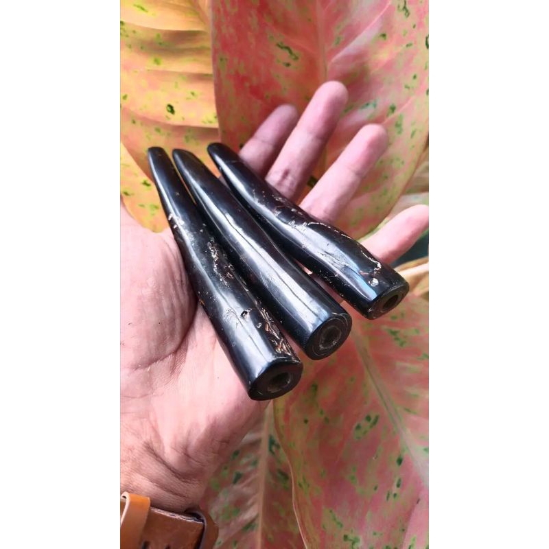 once akar bahar natural