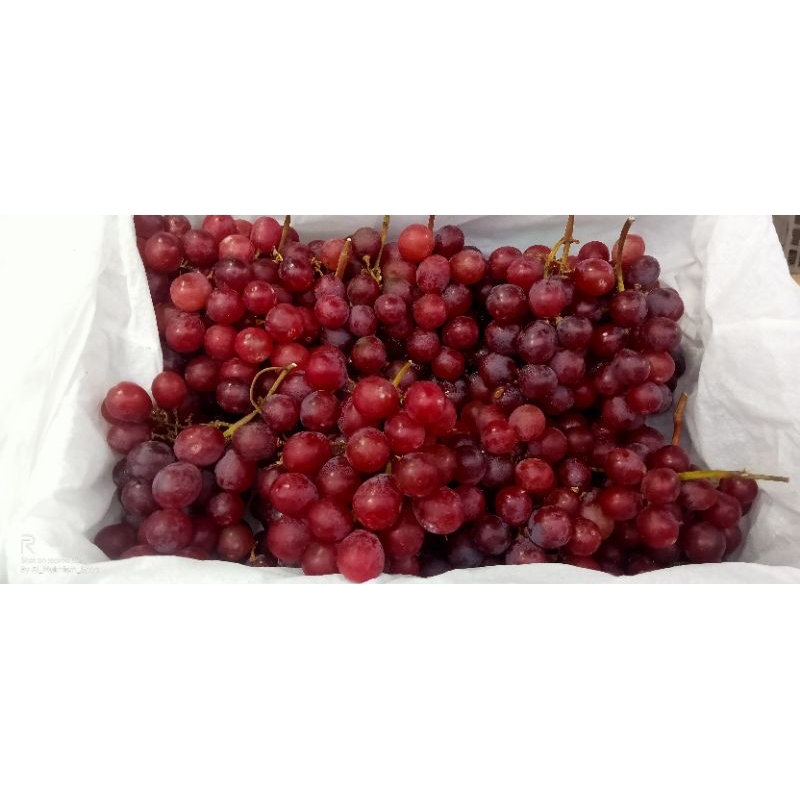 

Buah Segar Import dan Lokal