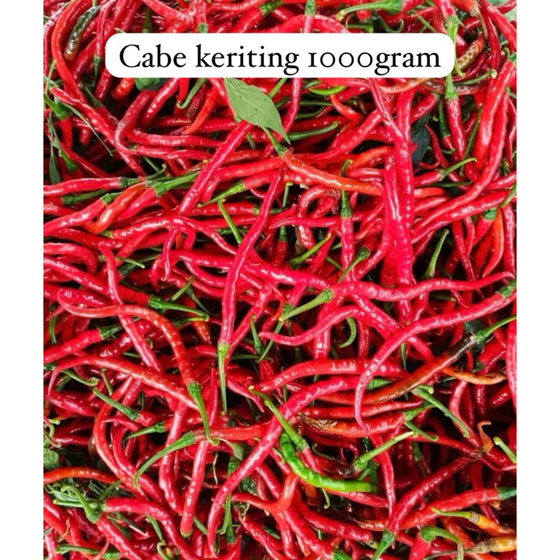 

CABE KERITING MERAH FRES 1000gram