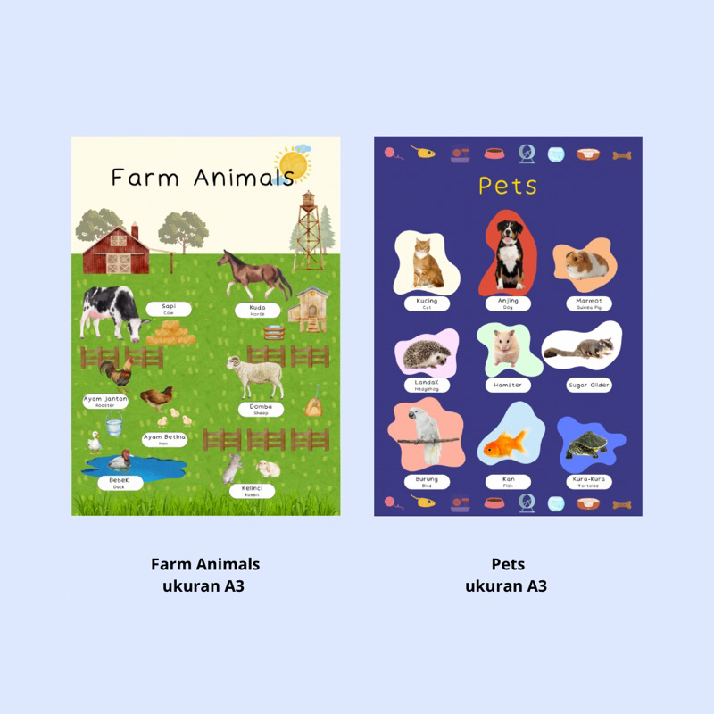 Poster Hewan Edukasi Anak