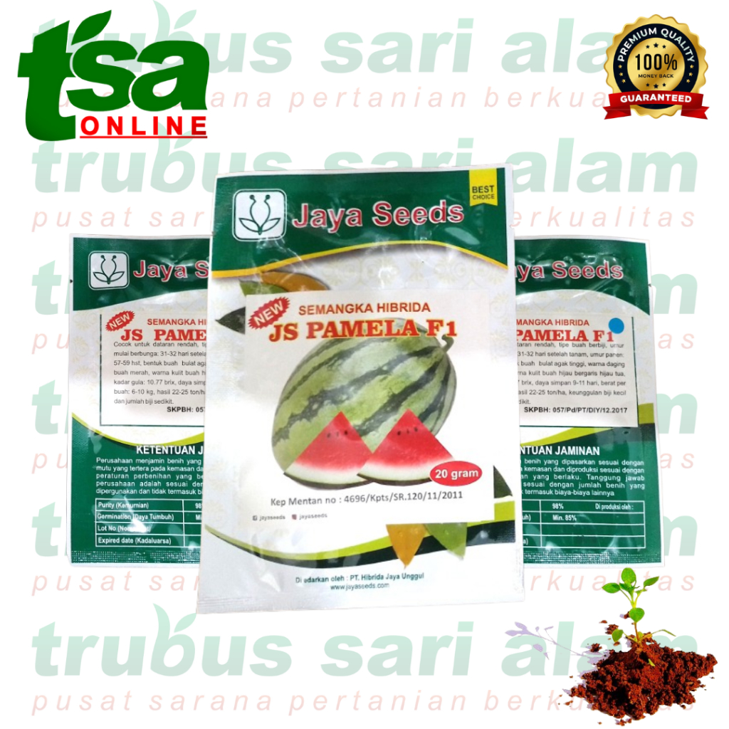 NEW JS PAMELA F1 20gr DAN TM UNIVERSE - Benih biji bibit semangka hibrida merah manis segar JUMBO BO
