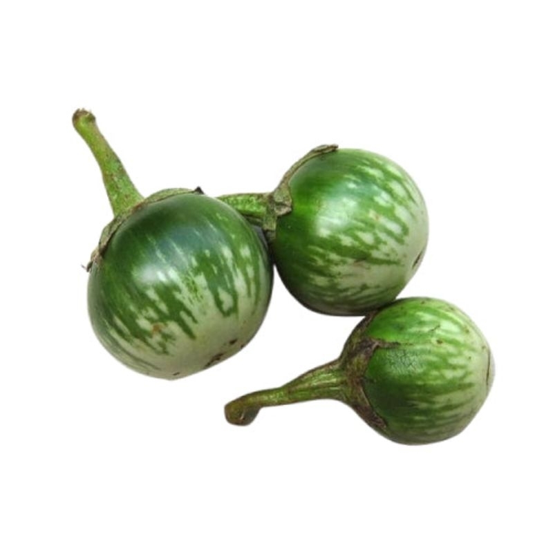 

Terong bulat Terong lalapan