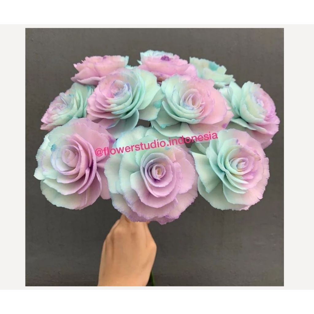 Rosina Flowers/Bunga sola/ Sola Flower/ Bunga Rosina / Sola Rosina