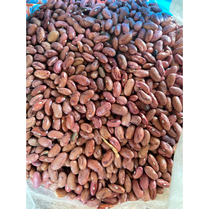 

Kacang Merah