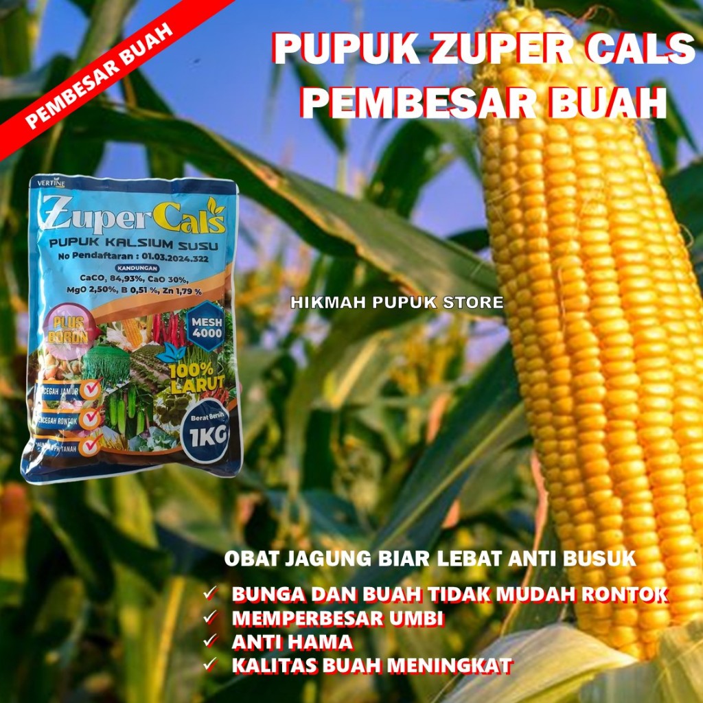 PUPUK ANTI BUSUK BATANG JAGUNG ZUPERCALS 1 KG Pupuk Pencegah Busuk jagung, Busuk Buah, Busuk Batang,