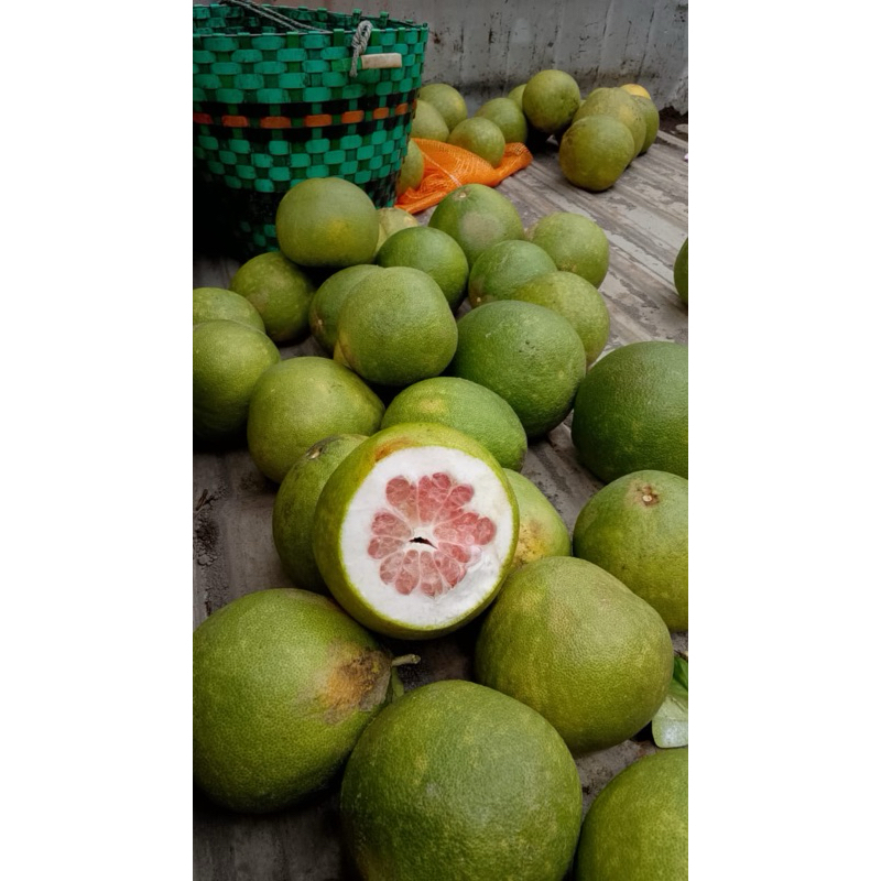 

jeruk pamelo/jeruk bali
