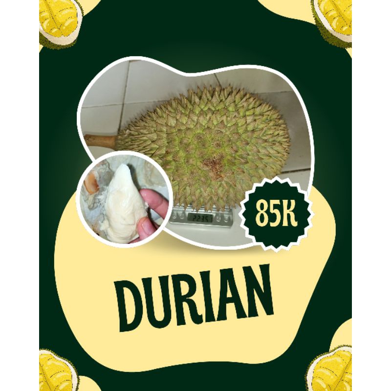 

Durian Lokal Utuh: Manis Legit, Fresh dari Kebun 2 KG