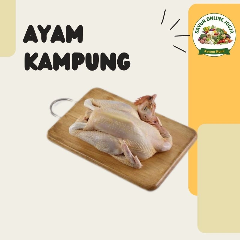 

Ayam kampung per ekor - PAWON MAMI SAYUR ONLINE JOGJA