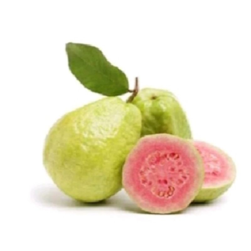 

Jambu Bijih Merah 1 kg
