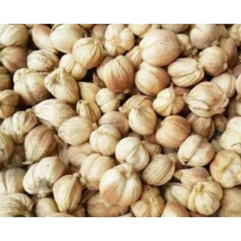 

kapulaga kering 200 gram