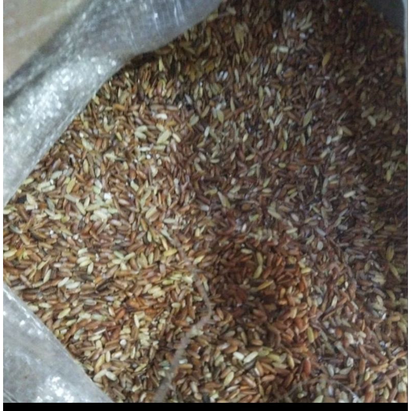 

beras merah kemasan 1 kg