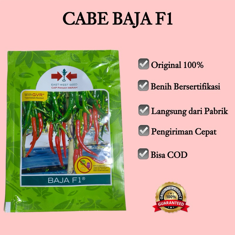 BENIH CABE BESAR  BAJA F1 PANAH MERAH 1500 Biji