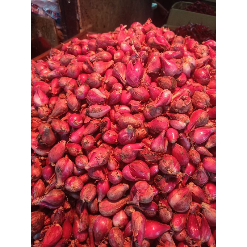 

Bawang merah murah 1 kg / bawang merah asli premium