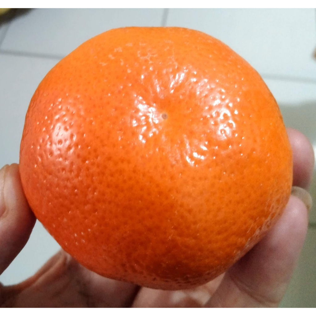 

Jeruk Ponkam Buah Import Segar Pilihan Terbaik