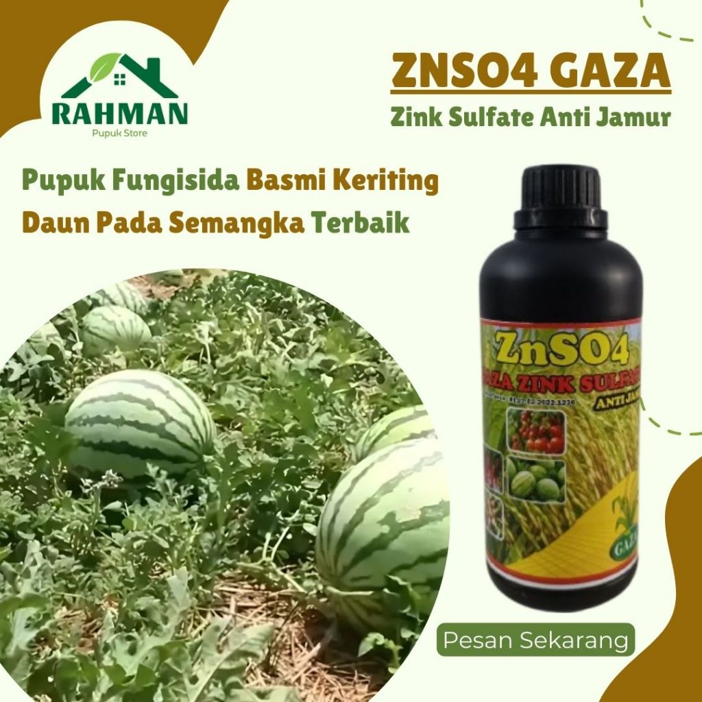 Pupuk fungisida keriting daun semangka paling manjur - ZNSO GAZA 500ML - Obat semprot layu fusarium 