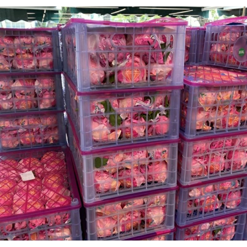 

Jeruk depokon Fresh Jumbo Size Xxxl / 6 kg