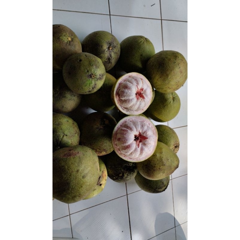 

JERUK PAMELO MADU ASLI BAGENG || MURAH MANIS BERAT 10KG