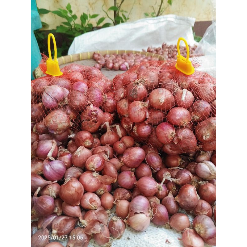 

Bawang Merah Superr Siap Kirim. Bisa dikirim Luar Kota. packing Aman