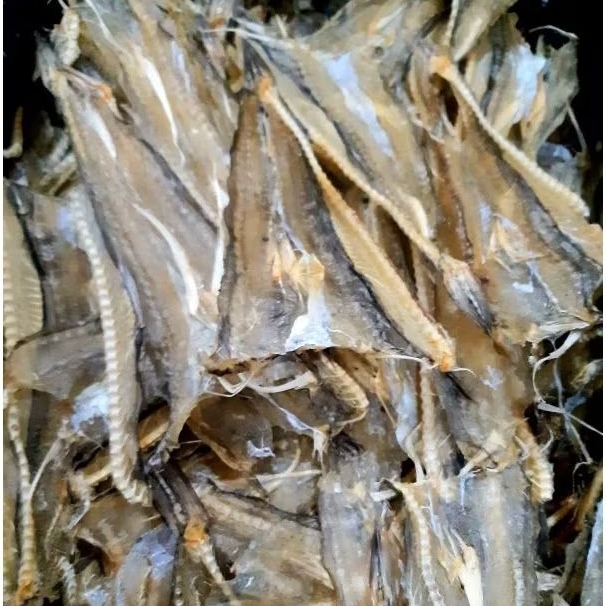 

IKAN ASIN PIPIH TARAKAN 100gr