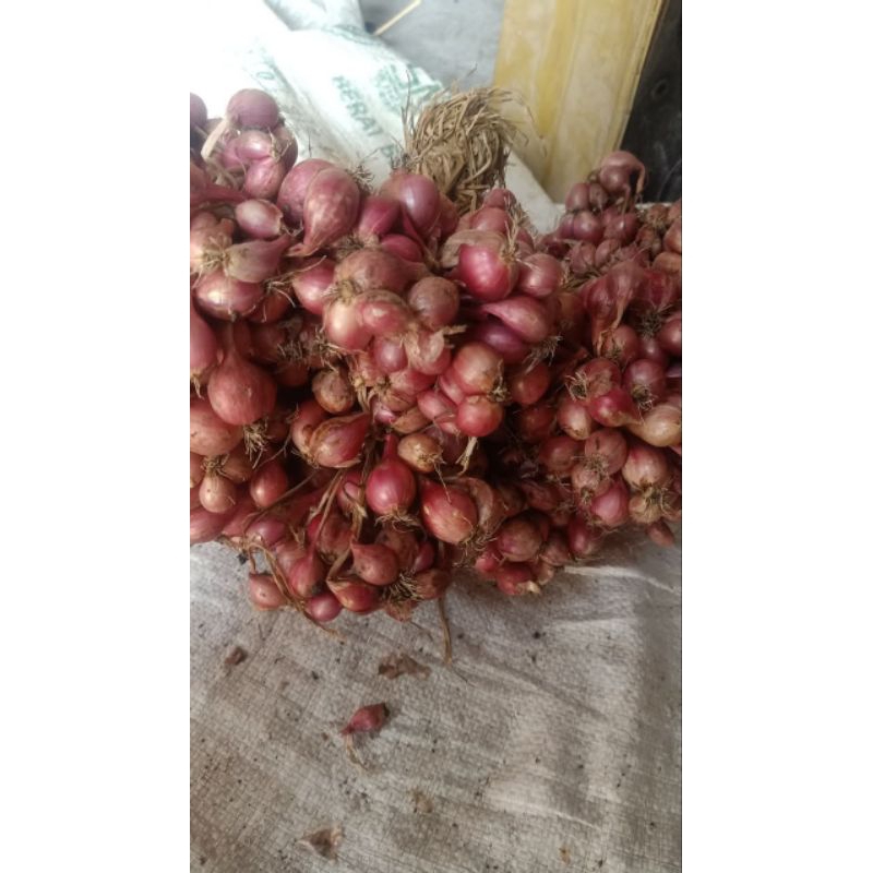 

Bawang Merah Lokal Nganjuk (1ikat) 1kg