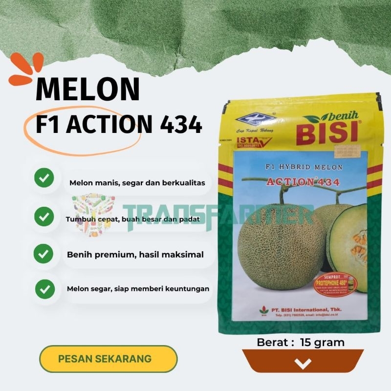 Benih Melon F1 ACTION 434