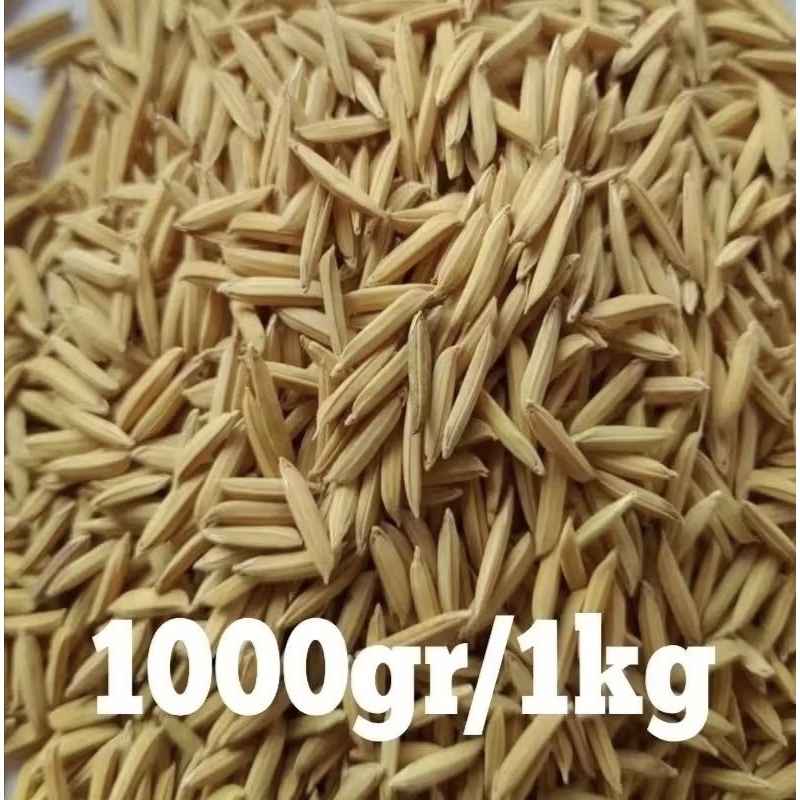 BENIH PADI BASMATI 1KG (basmati rice ) BERAS ASLI INDIA PAKISTAN