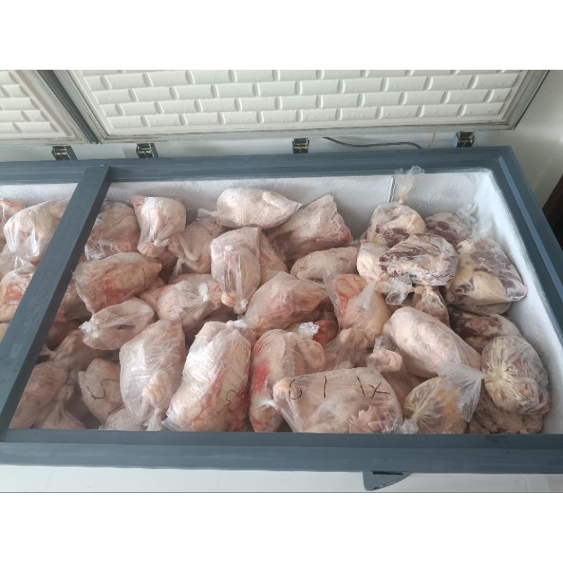 

Ayam Petelur/Merah Frozen Jakarta