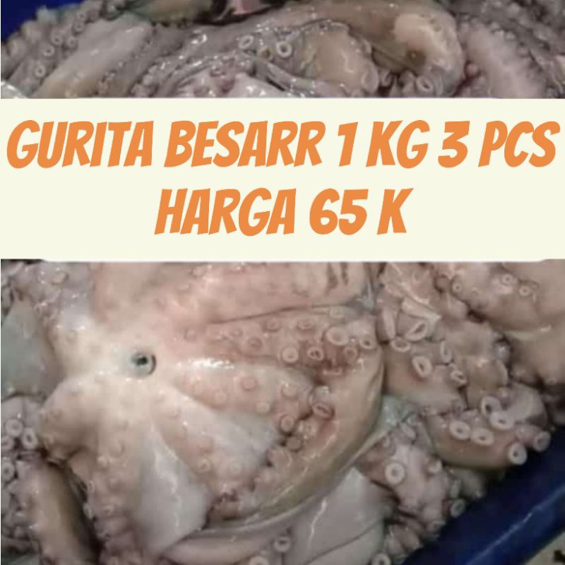 

Gurita Segar Besar 1 KG (Isi 3 Ekor)