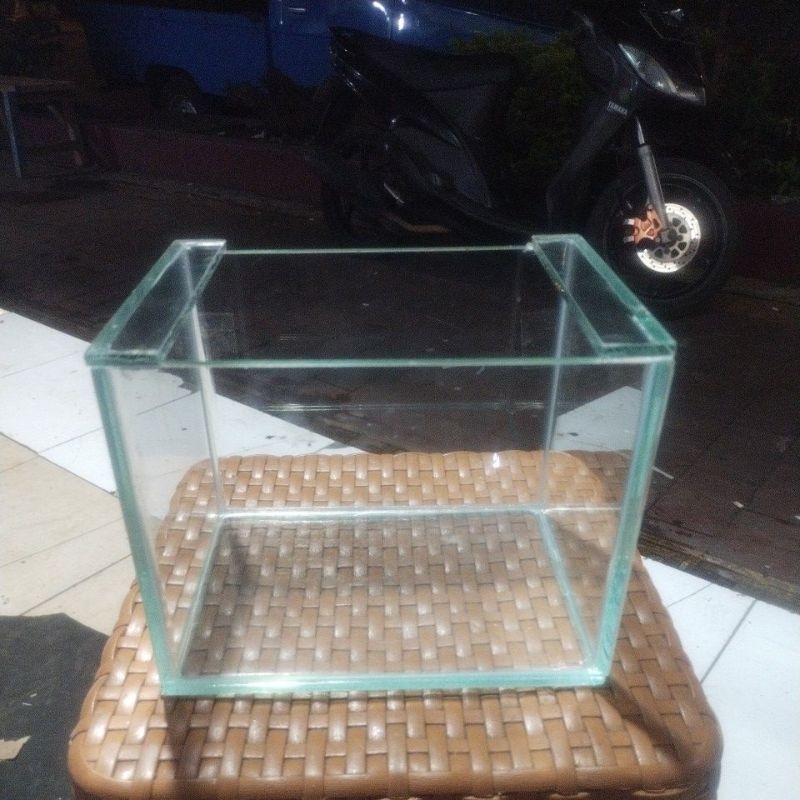 Aquarium Channa 20x15x15