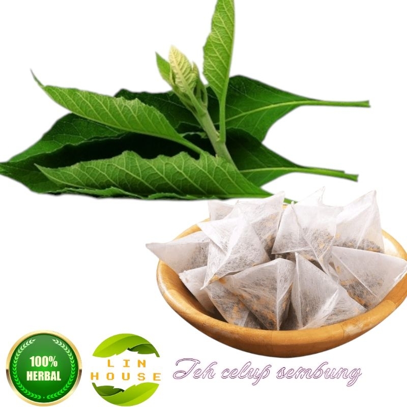 

Teh Celup Daun Sembung Premium Per Pak 15 Instan
