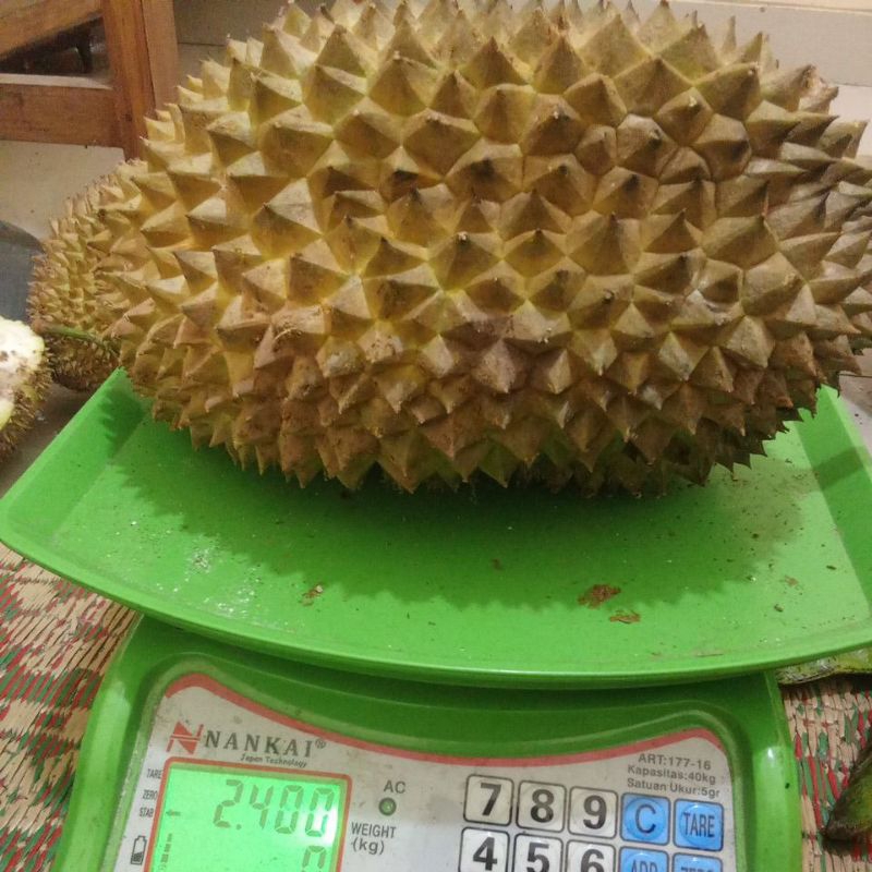 

duren wonogiri manis pait pulen