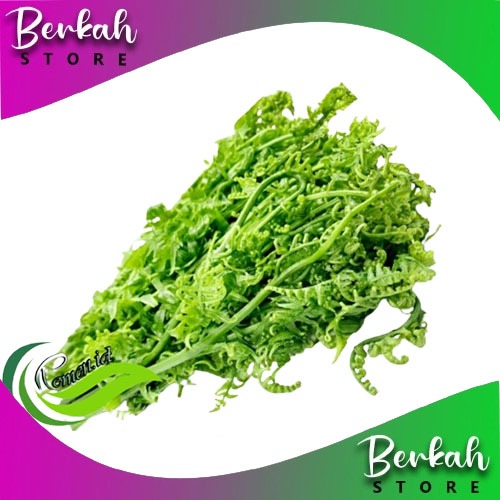 

DAUN PAKIS SAYUR FRESH 1 kg | PAKU SEGAR SAYURAN LANGK