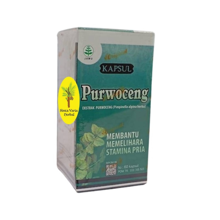 purwoceng kapsul tazzaka,ekstrak purwoceng