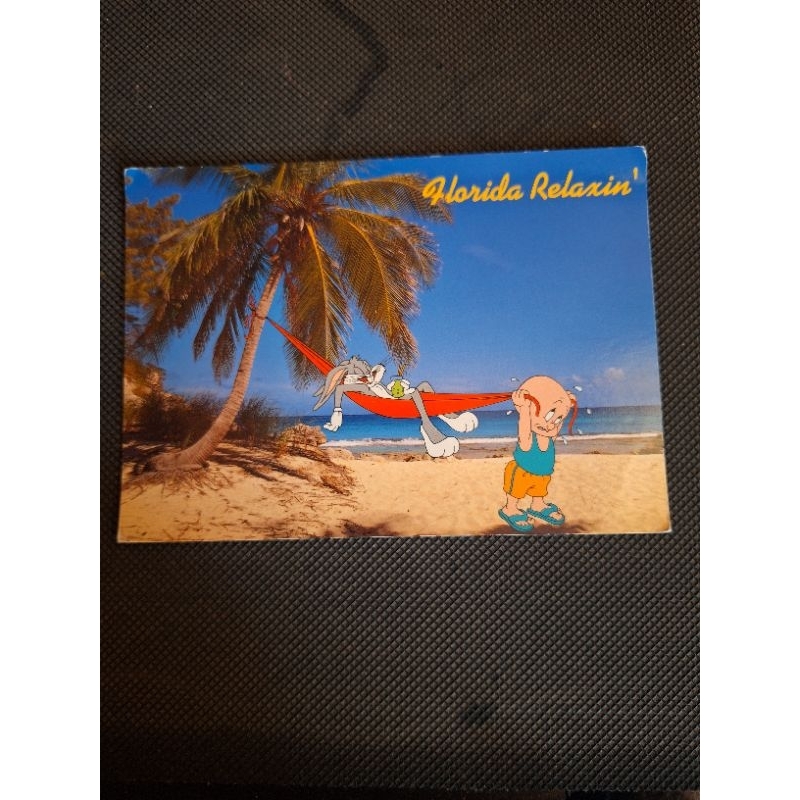 

Kartu pos disney/Disney florida postcard