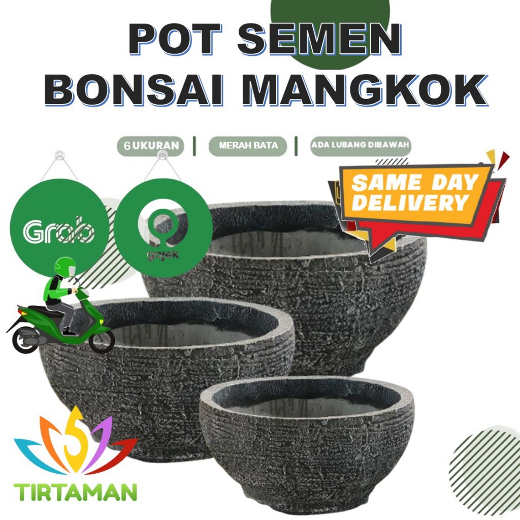 pot semen bonsai mangkok / pot estetik mangkok / pot beton mangkok [khusus kurir instan]