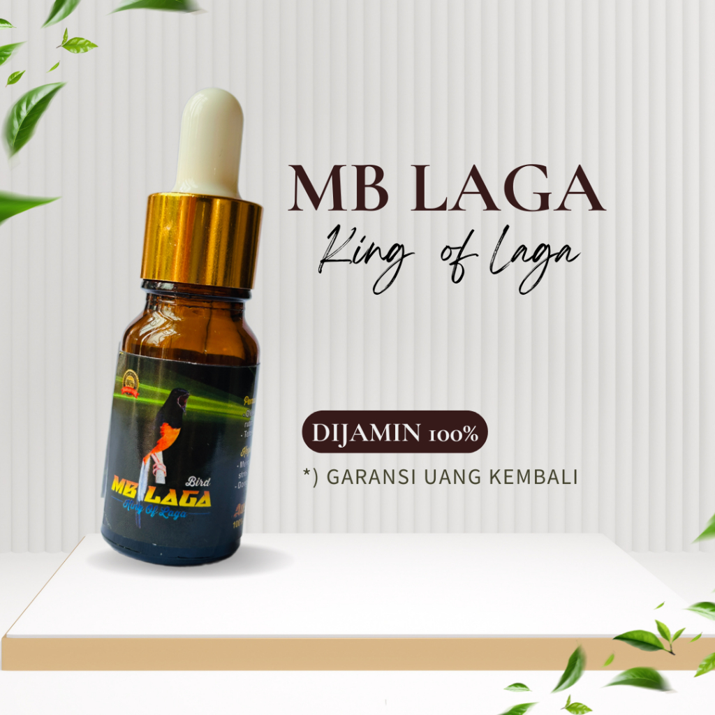Ramuan Langsung Dari Ahli Murai Gantangan | Vitamin DOPING Penggacor Burung Lomba MB LAGA King Of La