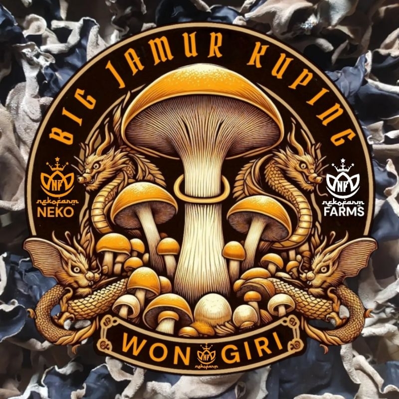 

BIG JAMUR KUPING KERING WONOGIRI 250gr