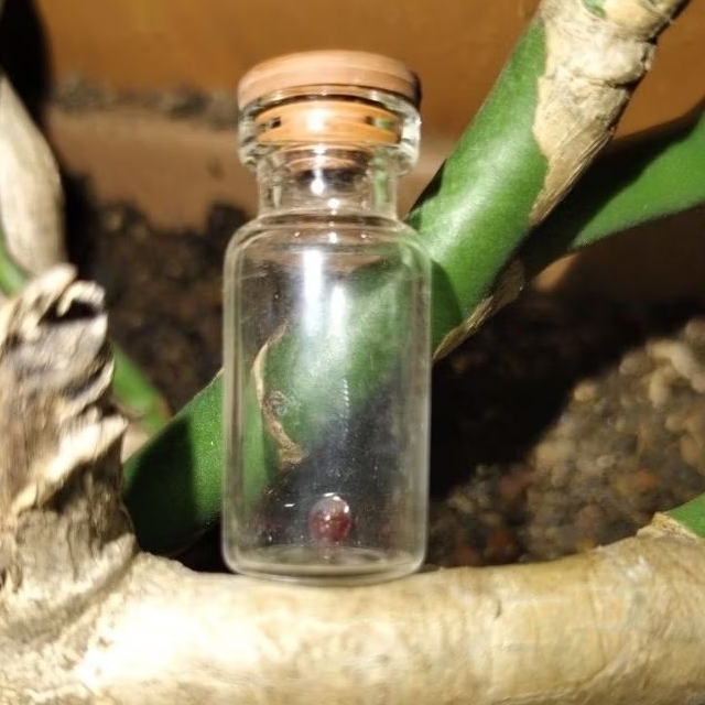 Batu mustika mini delima merah sir alam asli temuan sepuh kuno antik pusaka