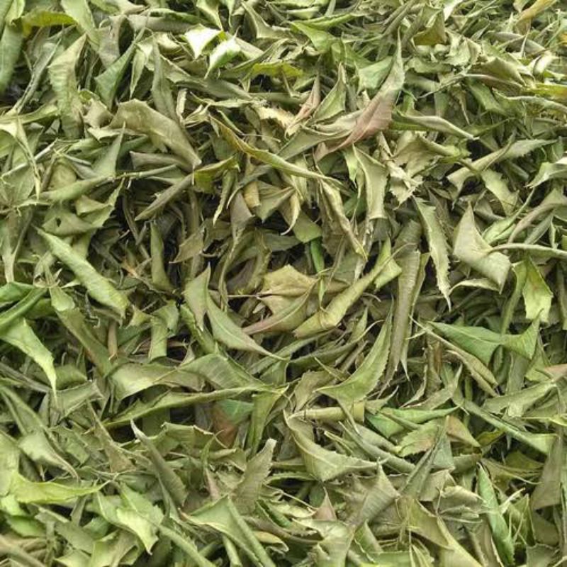 

Daun Mimba Kering