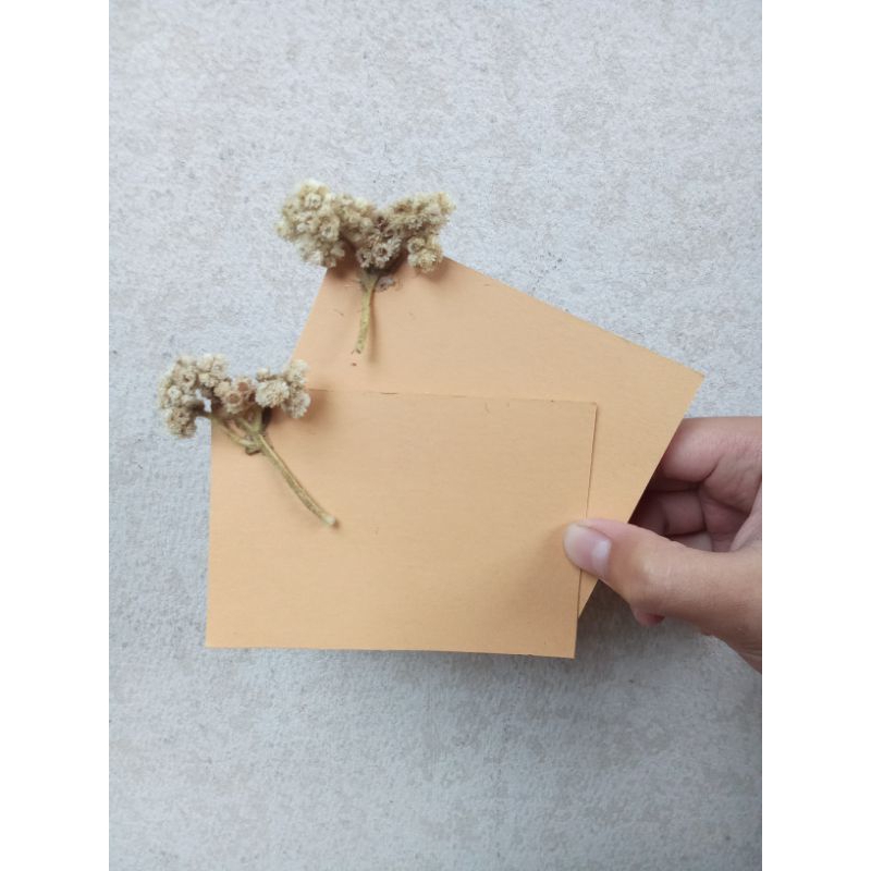 kartu ucapan / kartu ucapan aestetic / kartu ucapan rustik / kartu ucapan polos / greating card