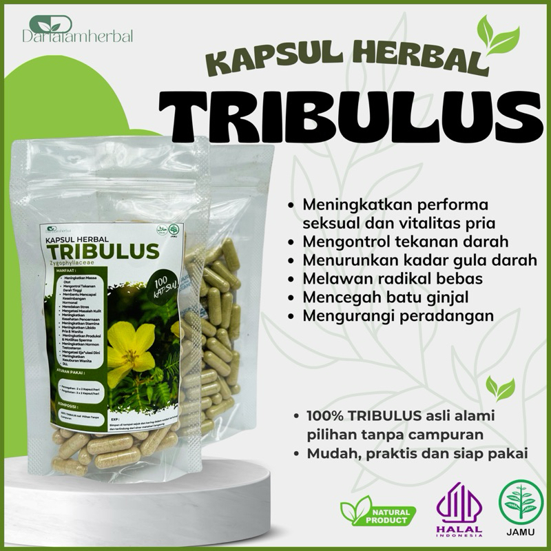 Kapsul Herbal TRIBULUS isi 100 kapsul | Kapsul Sejuta manfaat asli 100% Tribulus Alami
