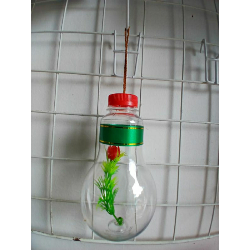 Aquarium mini botol plastik ikan hias cupang guppy moly murah