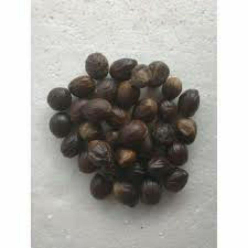 

Biji pala kering 500gram_1kg, biji pala tua kering (koclak) untuk kebutuhan masakan rempah2, herbal dll
