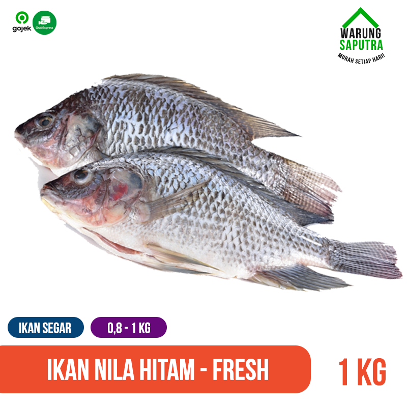 

Ikan Nila / Tilapia Hitam Mati Segar Utuh 1 kg
